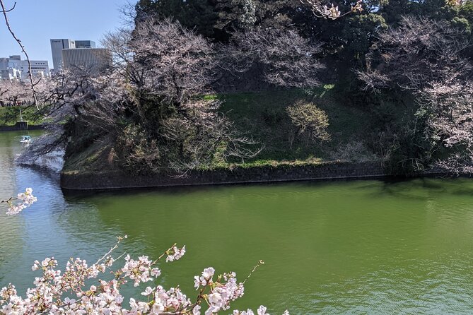 Tokyo Imperial Palace Higashi Gyoen Wellness Tour - Accessibility and Participation Conditions