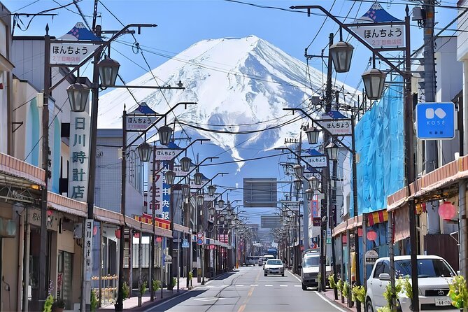 Tokyo: Instagram-Worthy Mt Fuji & Lake Kawaguchiko Day Trip - Accessibility and Age Considerations