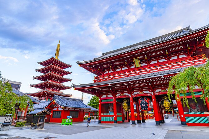 Tokyo Layover Tour With Licensed Guide:Narita Airport Dep - Pricing and Inclusions