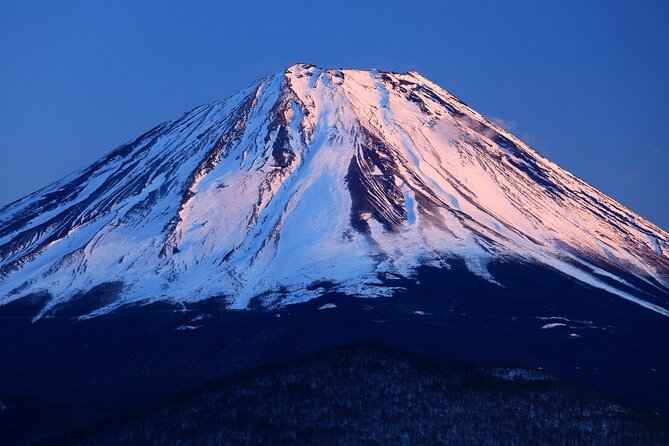 Tokyo: Mt. Fuji, Oshino Hakkai and Gotemba Outlets 1Day Bus Tour - Meeting and Drop-off Information