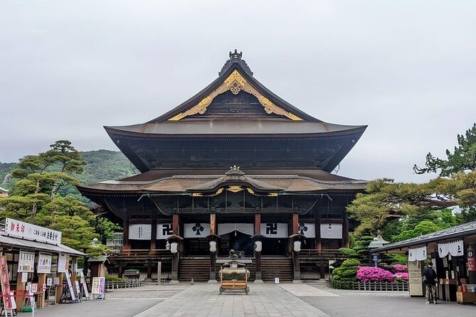 Tokyo Nagano Snow Monkey Park and Zenkoji Temple With Guide - Meeting and Pickup