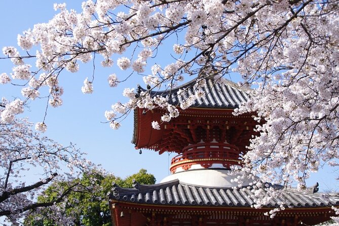 TOKYO OishiPark, Oshino & KoedoKawagoe, Fuji Mount - Meeting and Pickup Details