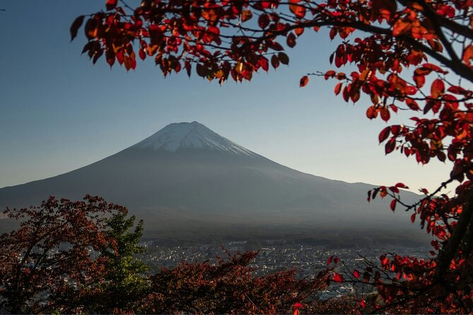 Tokyo: Super Ultimate Mt. Fuji Tour - Itinerary and Flexibility