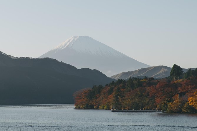 Tokyo to Hakone | Private and Personalized Day Trip With a Local - Experiencing the Hakone Freepass