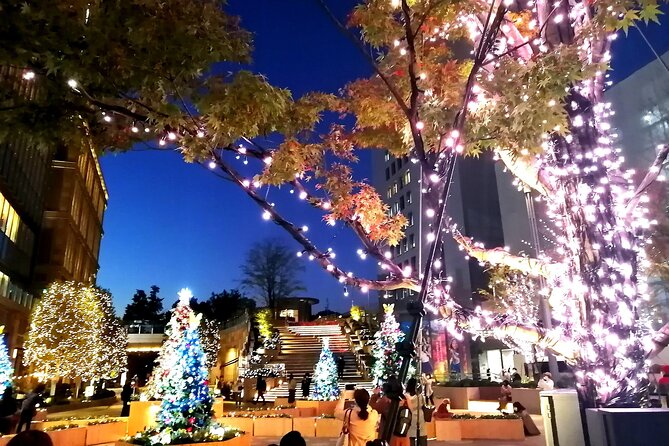 Tokyo Winter Illumination Ebike Tour - Tour Schedule and Duration