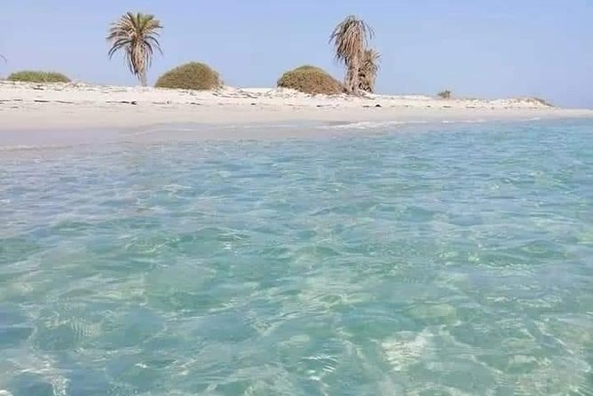 Tour of the Island of Djerba the Island of Lotophages - Itinerary and Schedule