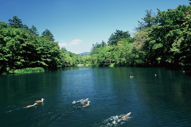 Tour With a Dedicated Car! Visiting the Basic Tourist Spots in Karuizawa (Half Day Course / Japanese Guide) - Highlights of the Tour Itinerary