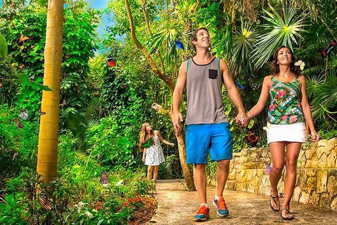 Tour Xcaret All Inclusive From Playa Del Carmen - Included Transportation - Transportation Details
