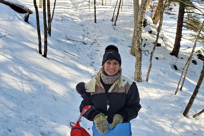 Transformative Forest Immersion: A Mindful Journey for Inner Calm - Meditation in Motion: Discovering the Power of Mindful Walking