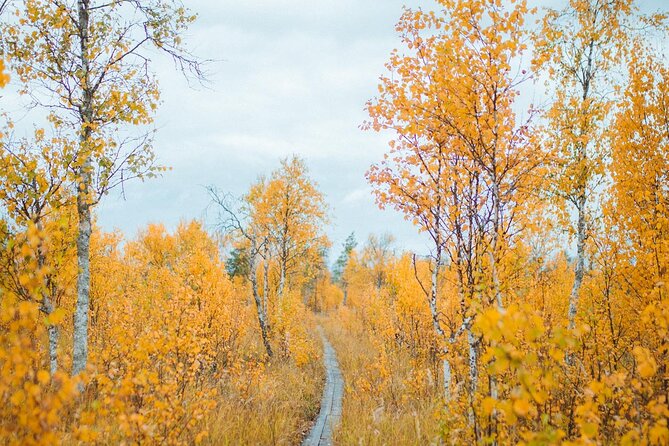 Trekking in the Heart of Nature - Whats Included in Your Adventure