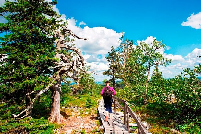 Trip to Auttiköngäs Water Falls - Guided Hiking Experience