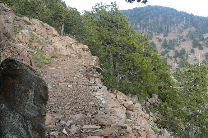 Troodos Walking Trip (Artemis+/Myllomeris Waterfalls) - Private From Limassol - Whats Included