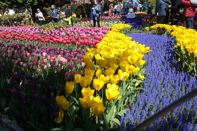 Tulip Festival and Skagit Valley Tour - Tulip Farm Visits