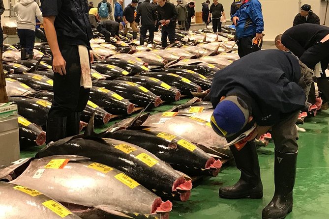 Tuna Auction and Market Tour at Activity Maison Kissako - Tour Inclusions