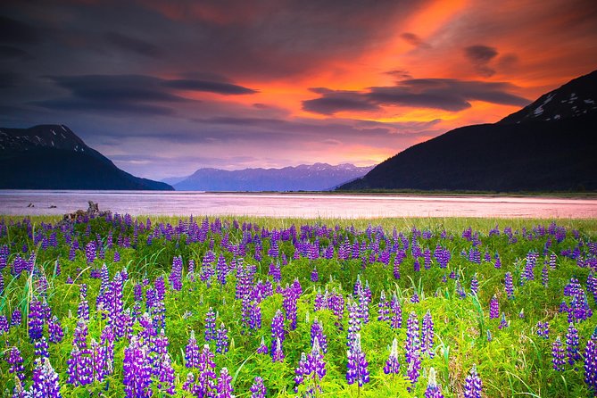 Turnagain Arm Tour - Whats Included