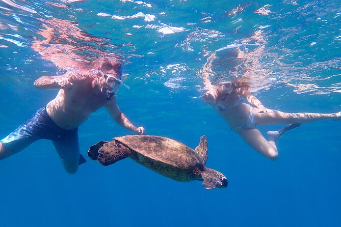 Turtle Town Beach Snorkel - Pricing and Cancellation Policy