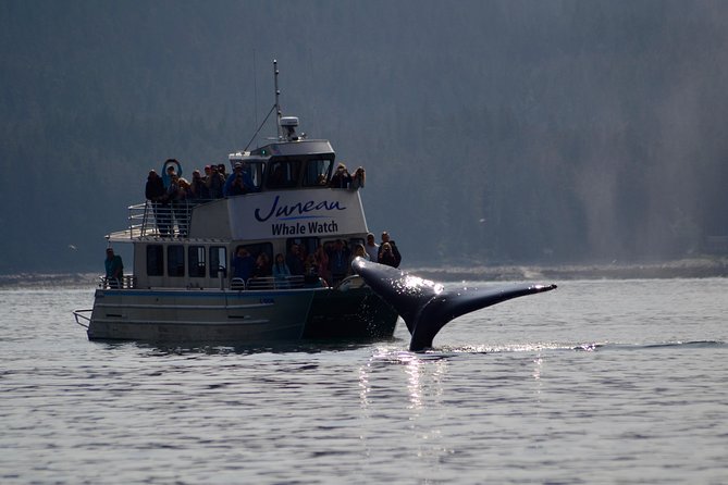 Ultimate Juneau Whale Watch - Key Features
