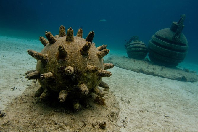 UNDERWATER MUSEUM CANCUN Diving for Beginners 1 Dive - Experience With Ticket - Reviews and Ratings