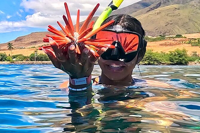 Unlimited Guided Snorkeling Tour Review - Meeting and Pickup