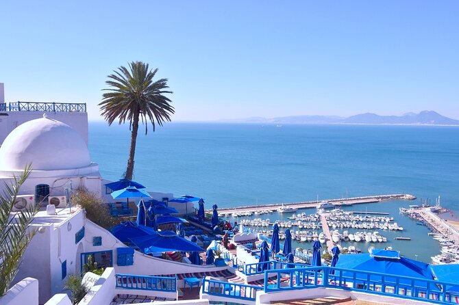 Unveiling the Beauty of Sidi Bou Said and Carthage Private Tour - Discovering Carthage