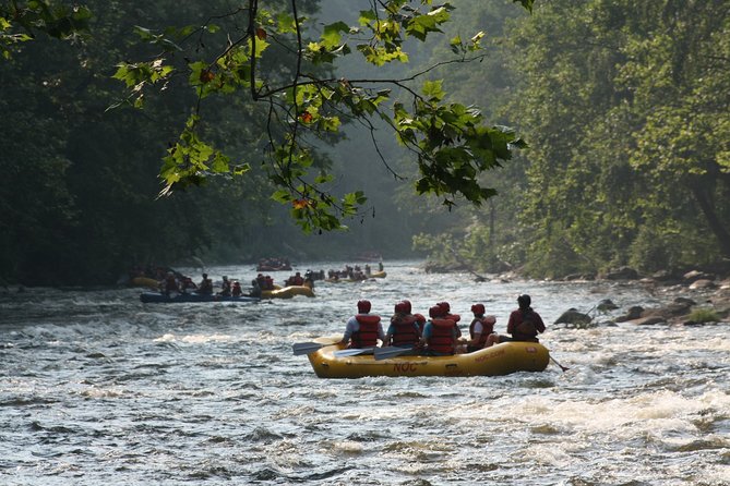 Upper Pigeon River Whitewater Rafting - Pricing and Reviews