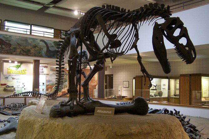 Utah Mighty 5 National Parks: Small Group 5-Day Tour - Pickup and Drop-off Details