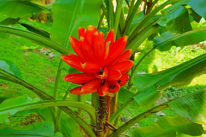 V.I.P Green Escape 2-Zoo De Martinique - Highlights of the Tour