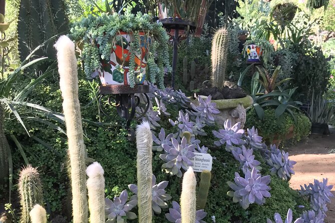 Vallarta Botanical Garden Tour With Universityeducated Naturalist - Inclusions and Exclusions