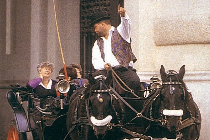 Vienna Mozart VIP Package: Concert, Dinner and Carriage Ride - Inclusions of the Experience