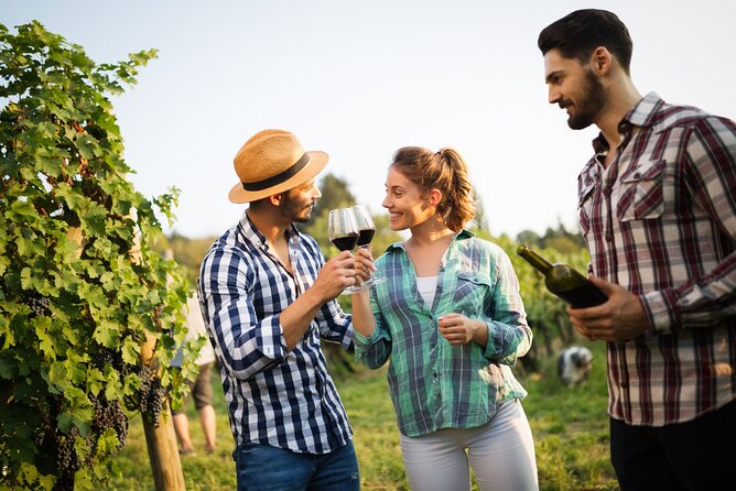 Vineyard Voyage: a Wine Lover'S Tour From Bilbao to Rioja - Vineyard Experiences