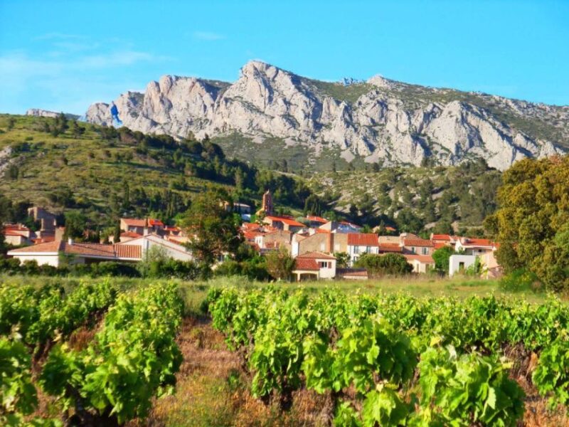 Vingrau : Wine Tasting - Pricing and Reservation Details