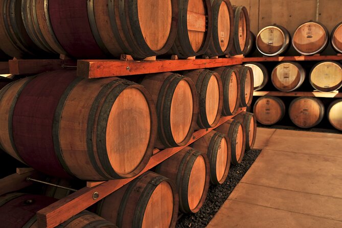 Vintage Wine Tour in Niagara County Review - Accessibility and Participation