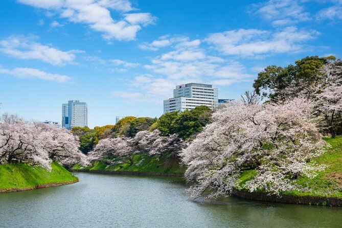 VIP Cherry Blossom Tour by Limousine With Exclusive Dinner - Meeting and End Points