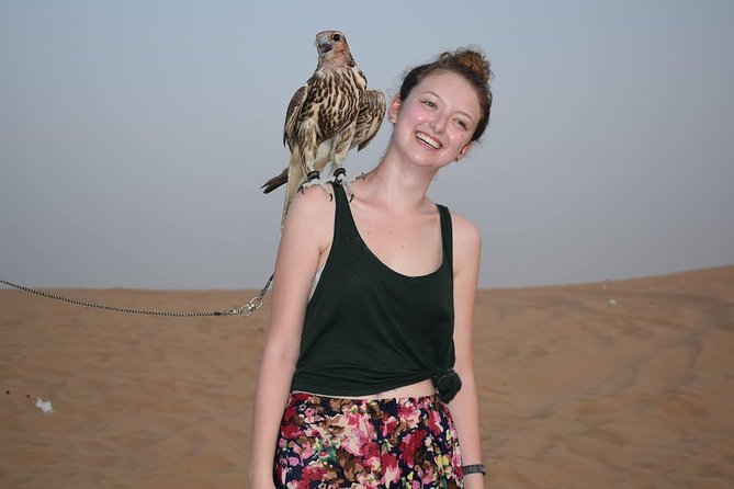 Vip Evening Desert Safari Pickup and Drop by Land Cruiser - Itinerary and Activities
