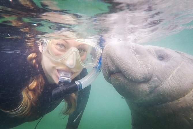 VIP Private Boat Manatee Snorkel Tour With In-Water Guide and Photograper - Meeting and Pickup Information