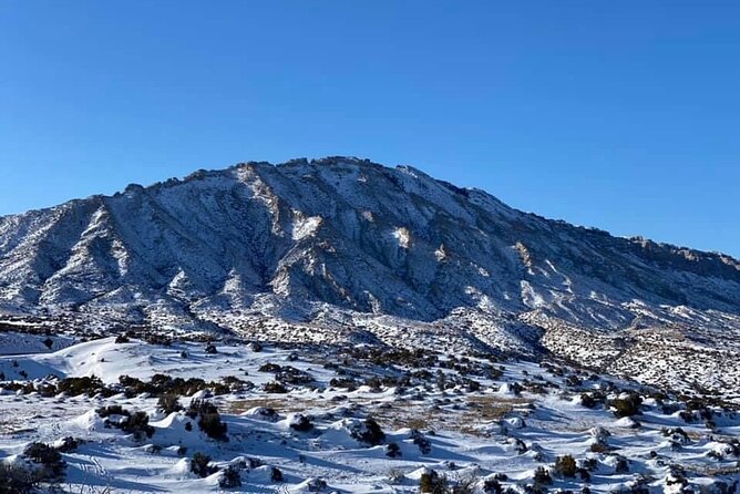 VIP Private North Yellowstone National Park Winter Excursion - Tour Features