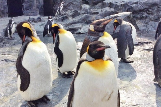 Visit Asahiyama Zoo, Fascinating Aoi-Ike From Sapporo - Encountering Polar Bears and Seals