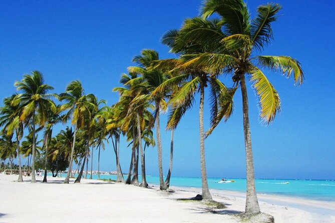Vista Sol Punta - Round Trip Shuttle - Punta Cana Airport - Pickup and Drop-off Locations