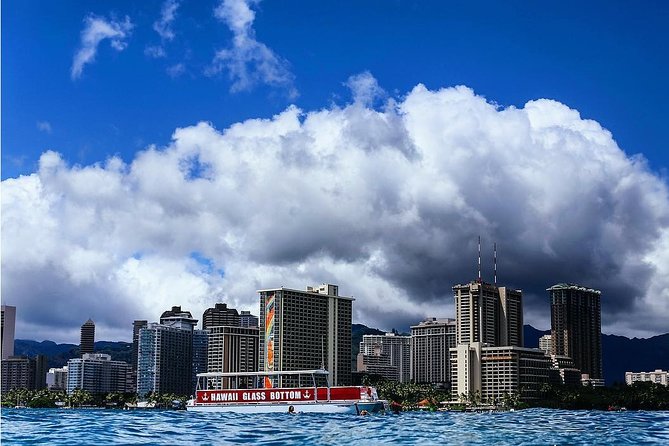 Waikiki Glass Bottom Boat Tour - Spotting Wildlife