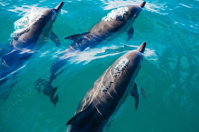 Waikiki Private Sunset Sail Romantic and Private - Booking Your Private Sail