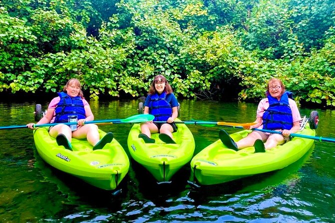 Wailoa River to King Kamehameha Statue Kayak Adventure - Sightings Along the Way