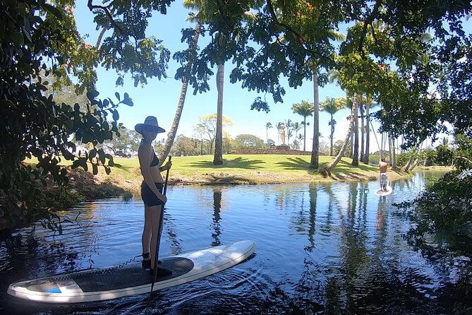 Wailoa River to King Kamehameha Statue SUP Adventure Review - Location and Setting