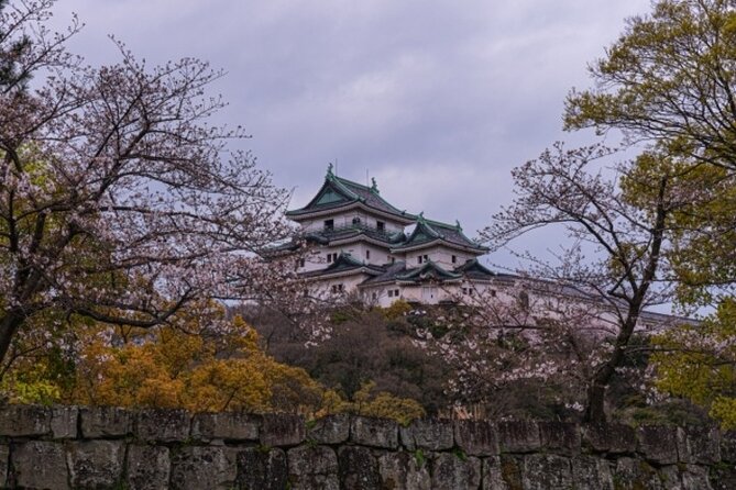 Wakayama Castle and Kuroshio Market 1 Day Tour - Discovering the Kuroshio Market