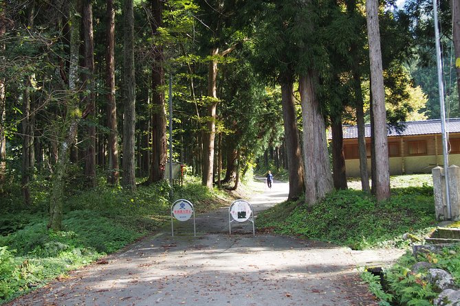 Walking & Cycling - Meeting Point and Access