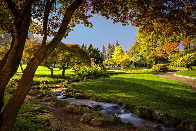 Walking Tour of Valentino Park - The Monumental Trees - Guided Nature Tour Highlights