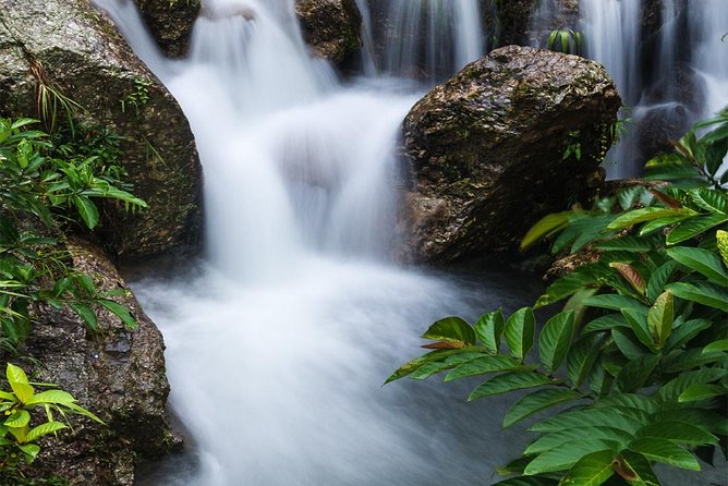 Waterfall, Rainforest, Chocolate Tour, Historical Sites, Private - Activities Included