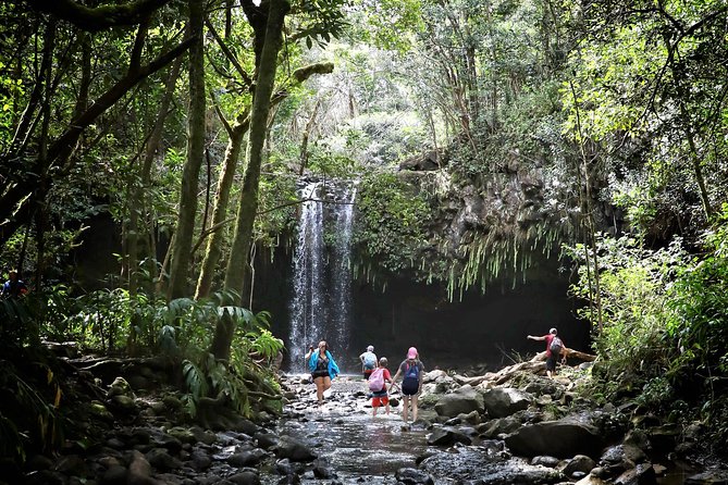 Waterfall & Rainforest Hiking Adventure With Hotel Pickup - Exploring the Lush Interior and Hidden Waterfalls
