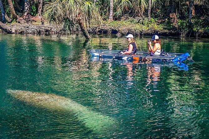 Weeki Wachee Clear Kayak Ecotours Manatee Season - November 14th-March 31st - Inclusions and Recommendations