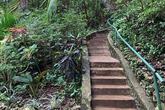 Welchman Hall Gully, Hunte's Garden and Peg Farm Family Day - What to Expect During the Tour