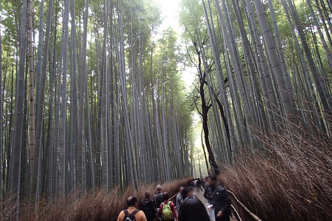 Western Kyoto Walking Tour With Local Guide - Included in the Tour